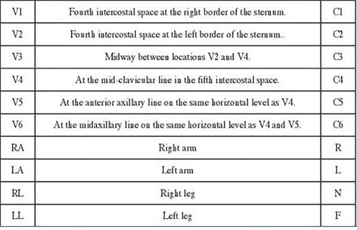 isiva (2)