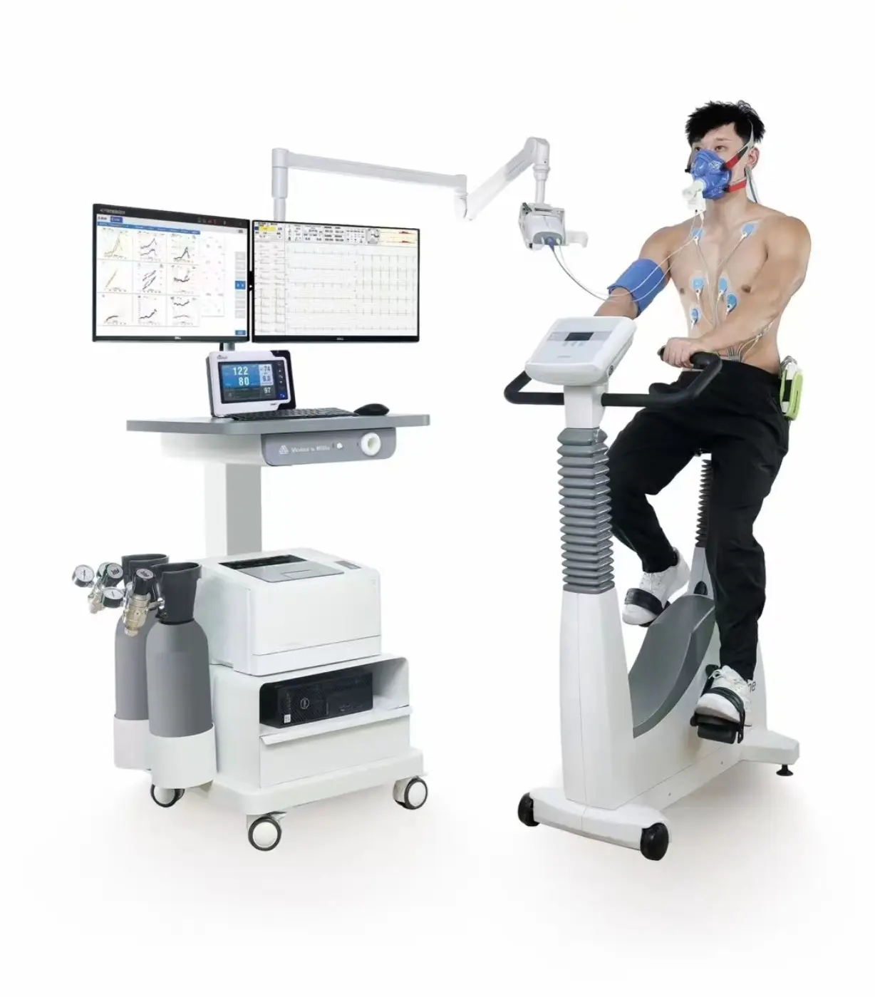 screenshot 20241231 191854