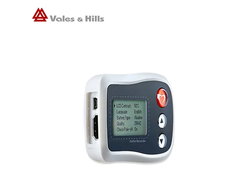 24 hour holter ecg