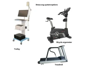 How Does a Stress ECG System Work During Exercise Testing?